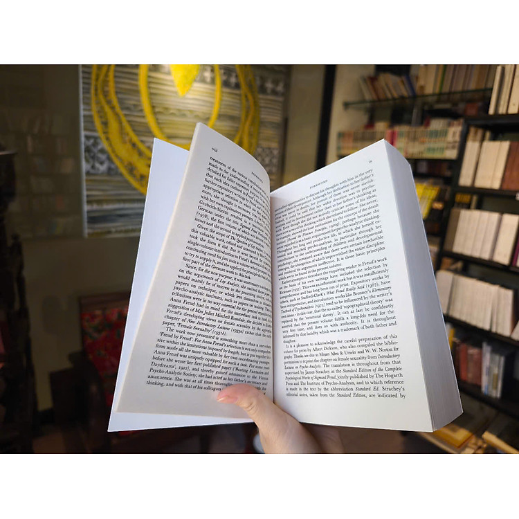 The Essentials of Psycho Analysis - Ảnh 5