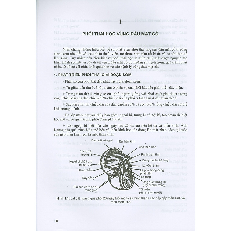 Các Vấn Đề Cơ Bản Trong Phẫu Thuật Tạo Hình Thẩm Mỹ (Phần III: Đầu Mạt Cổ) - Ảnh 2