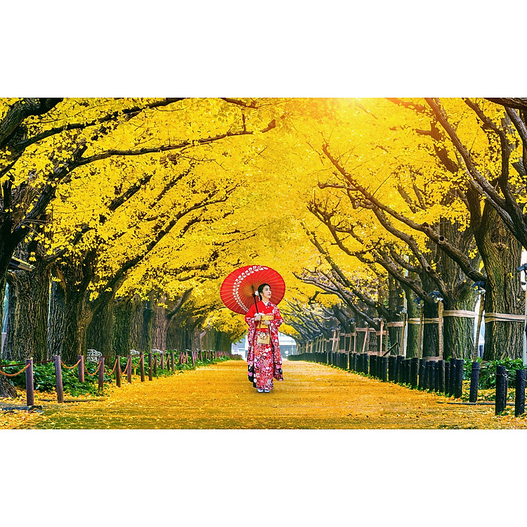 Mua Bộ tranh xếp hình 1000 mảnh - Tokyo Chính hãng Ưu đãi - Hình ảnh 2