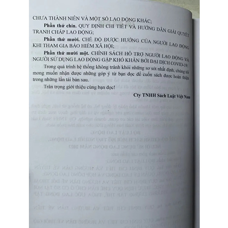 Bộ Luật Lao Động - Chế Độ, Chính Sách Mới Hỗ Trợ Người Lao Động, Người Sử Dụng Lao Động Năm 2022 - Ảnh 3