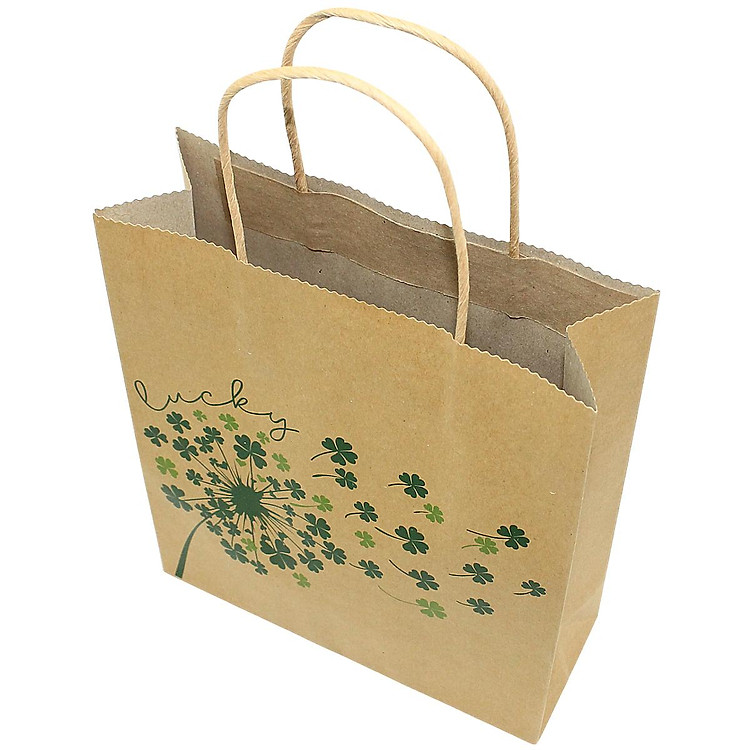 Túi Giấy Kraft (22 x 25 x 8 cm) - Ảnh 7