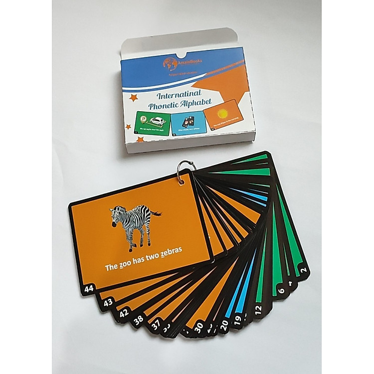 Bộ Thẻ Đọc Flashcard IPA (44 âm, 14x10cm) - Ảnh 5