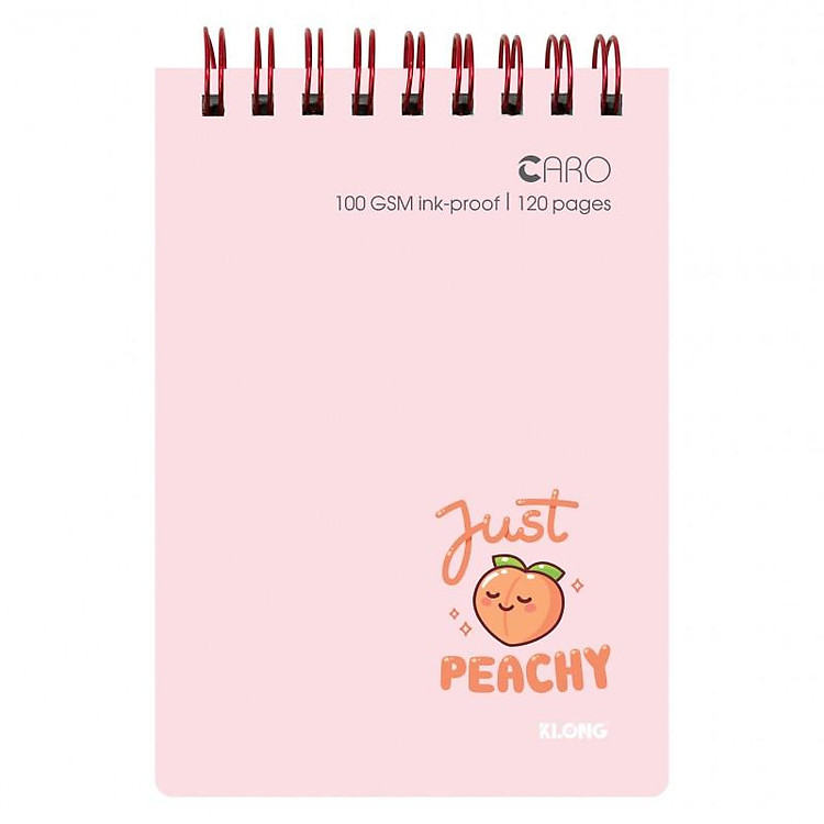 Sổ Caro Lò Xo KLONG B7 (120 trang) - Ảnh 3