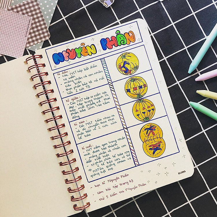 Sổ Lò Xo Kép Dot Grid (200 trang)