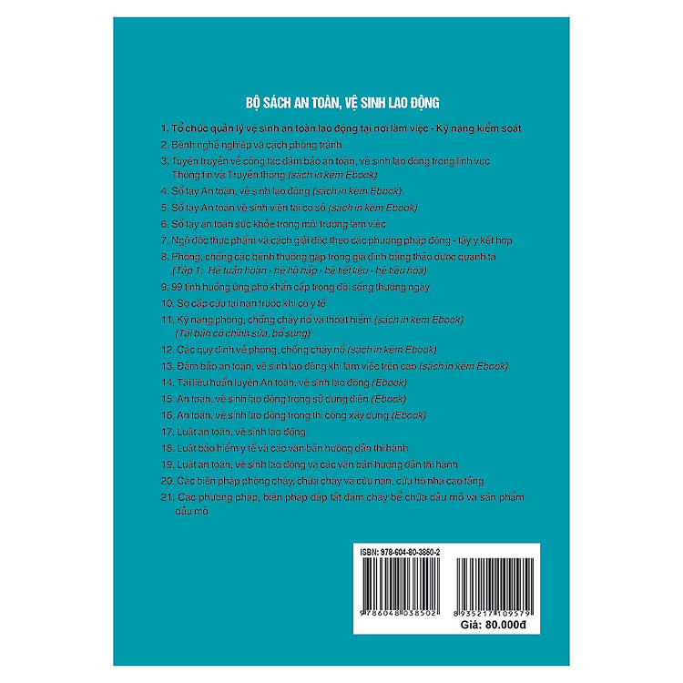 Tổ Chức Quản Lý Vệ Sinh, An Toàn Lao Động Tại Nơi Làm Việc – Kỹ Năng Kiểm Soát - Ảnh 2