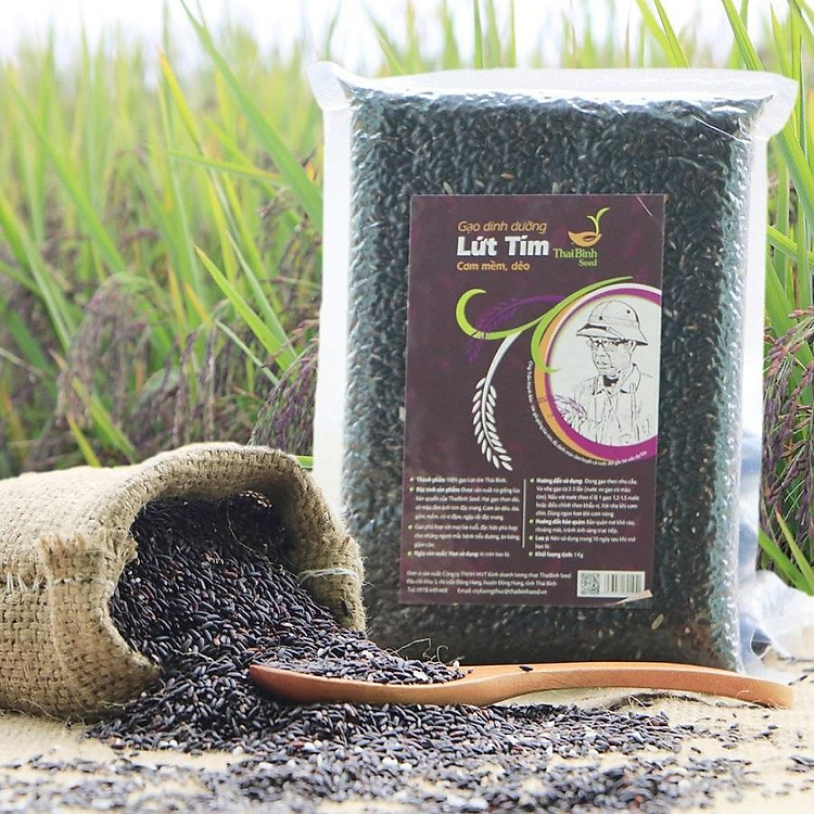 GẠO LỨT TÍM Thái Bình seed 1Kg