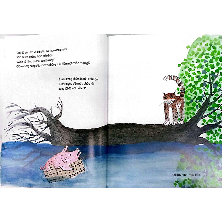 Lại Đây Nào!" - Mèo Bảo - Ảnh 7