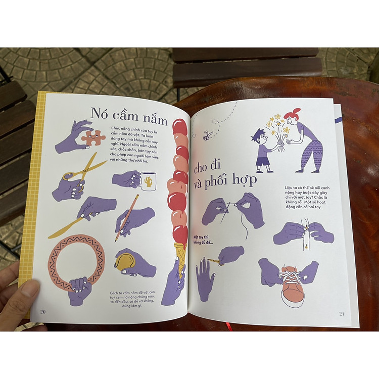 TỎ TƯỜNG TAY TA – Bách Khoa Toàn Thư Về Đôi Tay - Ảnh 3