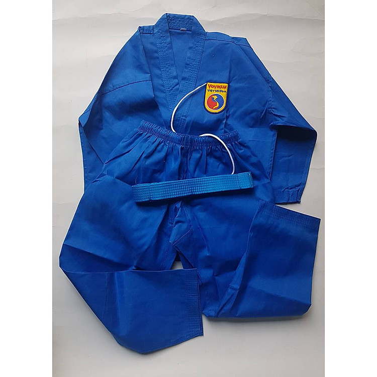 Võ Phục Vovinam Fighter