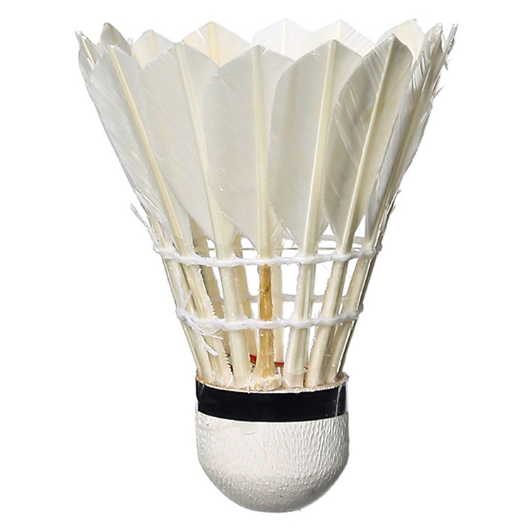 Hộp Cầu Lông Cavina Ngắn LCN - 6 Quả