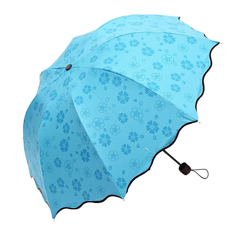 Ô ma thuật gặp nước nở hoa Panda - Màu ngẫu nhiên