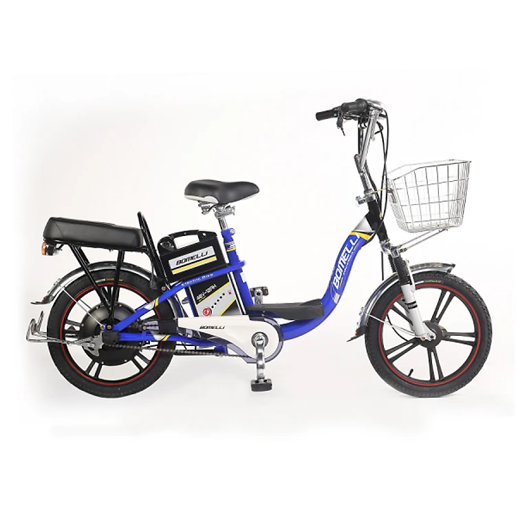 Xe đạp điện mini cho người lớn