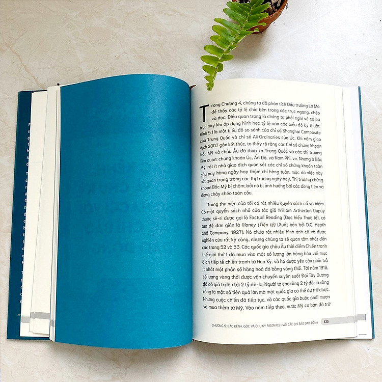 Thực Hành Phân Tích Fibonacci - Hướng Dẫn Phương Pháp Fibonacci - Ảnh 6