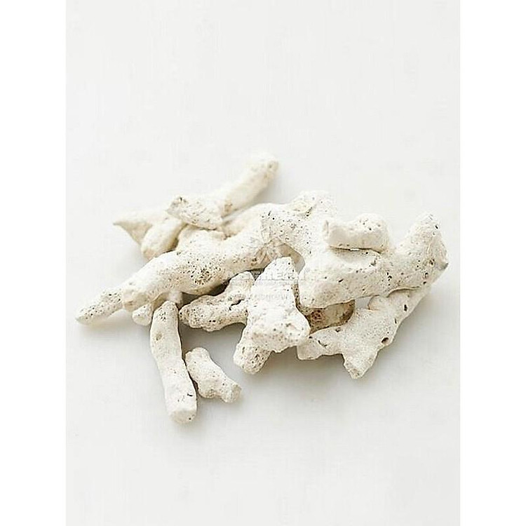 San hô (Túi 1kg) vật liệu lọc cho bể cá, trang trí bể cá