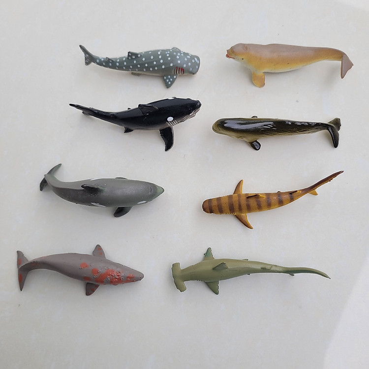 Bộ 8 đồ chơi cá biển cho bé Chính hãng Ưu đãi - Hình ảnh 5