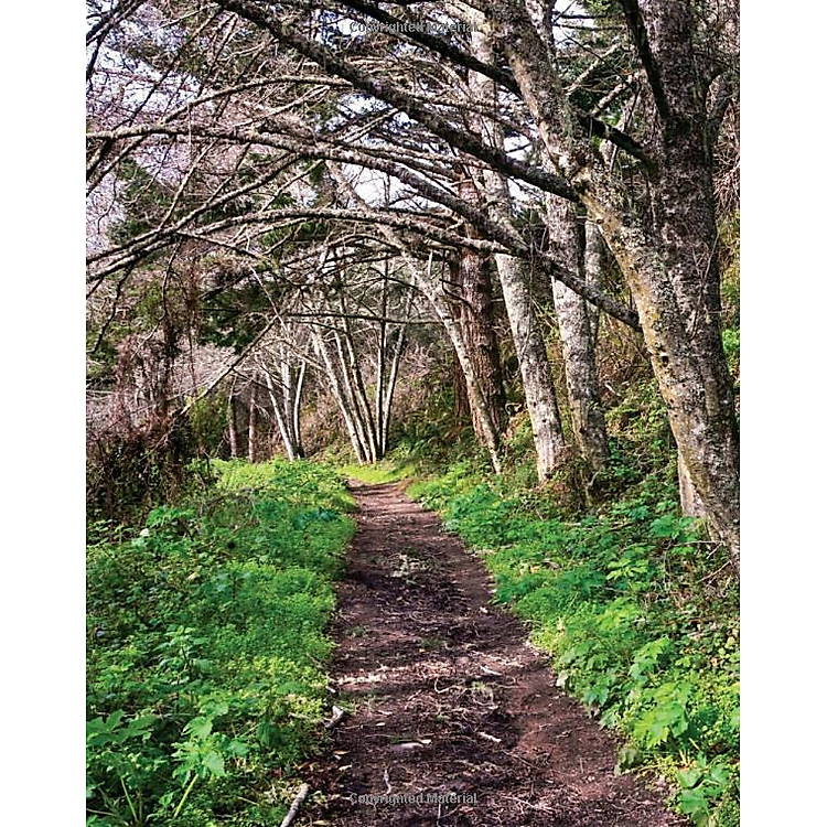 Drawdown: The Most Comprehensive Plan Ever Proposed To Reverse Global Warming - Ảnh 5