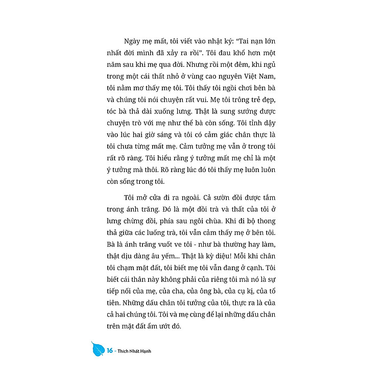 Không Diệt Không Sinh Đừng Sợ Hãi (TB 2023) - Ảnh 3