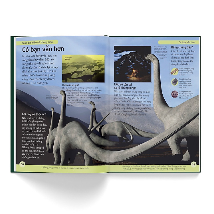 Bách Khoa Cho Trẻ Em – Bách Khoa Khủng Long - Ảnh 2