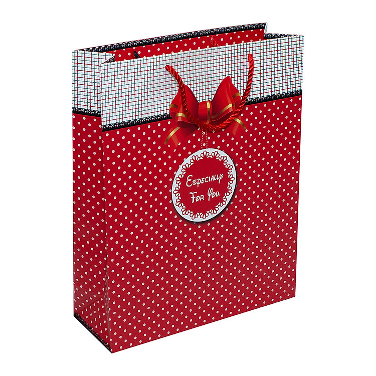 Túi Dây Lớn TT110 (32x26x10 cm) - Ảnh 4