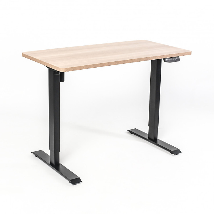 Bàn Làm Việc Đứng Tự Động Điều Chỉnh Độ Cao Flexispot ( Lite - 2 Stages-Sản phẩm chỉ có khung, không có mặt bàn)