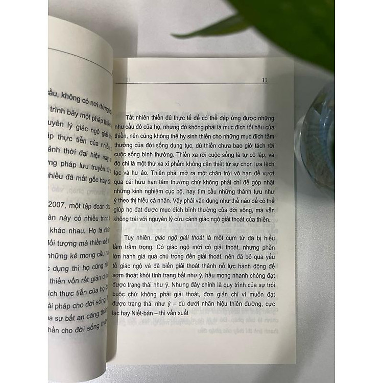 Sống Trong Thực Tại (Viên Minh) - Ảnh 5