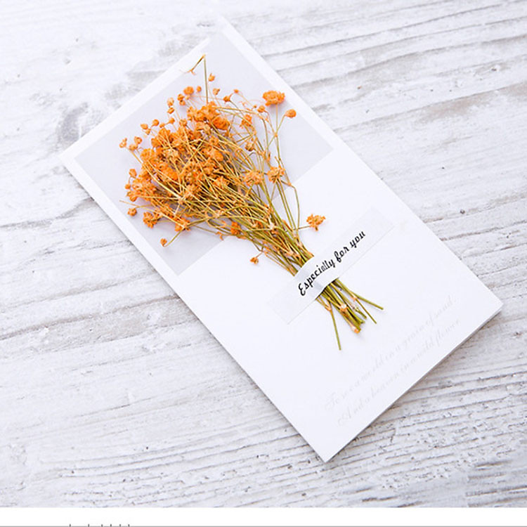 Thiệp Hoa Khô Trang Trí