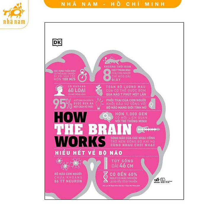 Hiểu hết về bộ não (How the brain works)