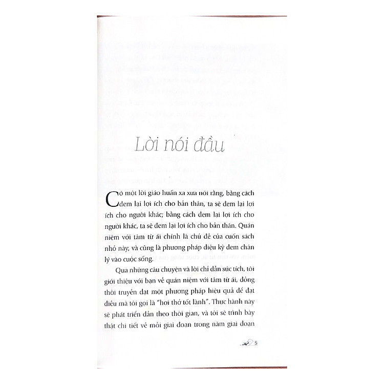 Quán Niệm Với Tâm Từ Ái - Ảnh 6