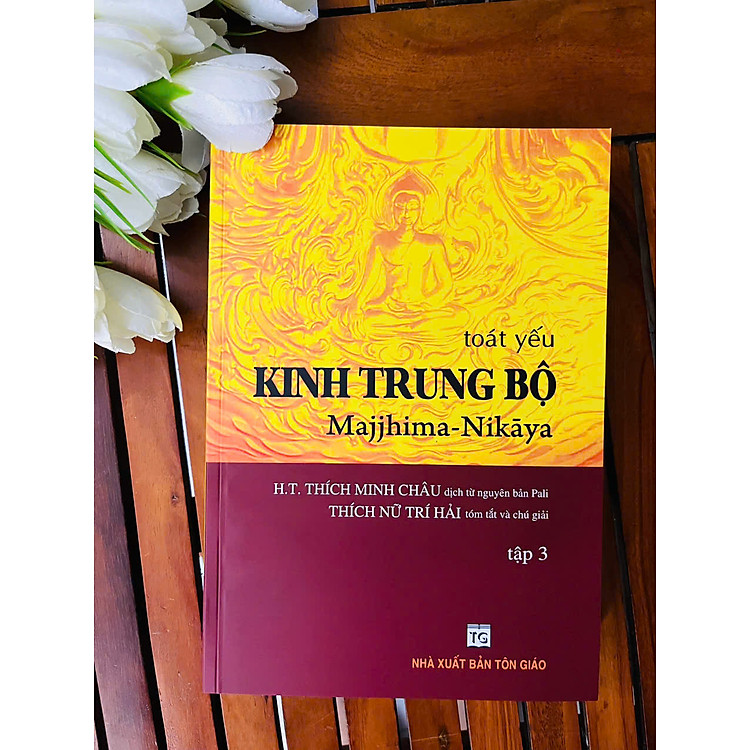 Toát Yếu Kinh Trung Bộ - Ảnh 6