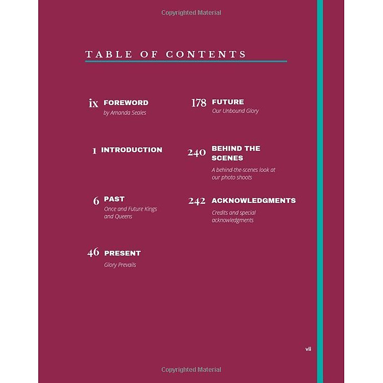 Glory: Magical Visions Of Black Beauty - Ảnh 2