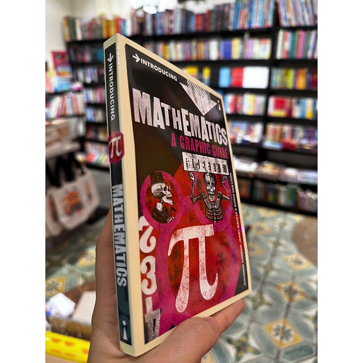Introducing Mathematics: A Graphic Guide - Ảnh 4