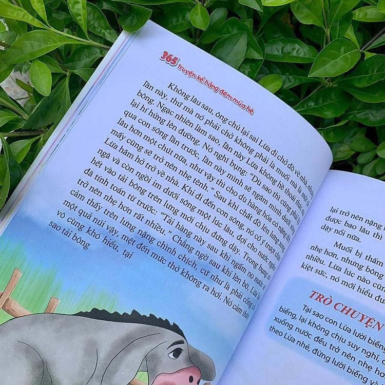 365 Truyện Kể Hằng Đêm - Mùa Hè - Ảnh 3