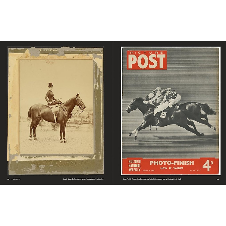 Why We Photograph Animals - Ảnh 5