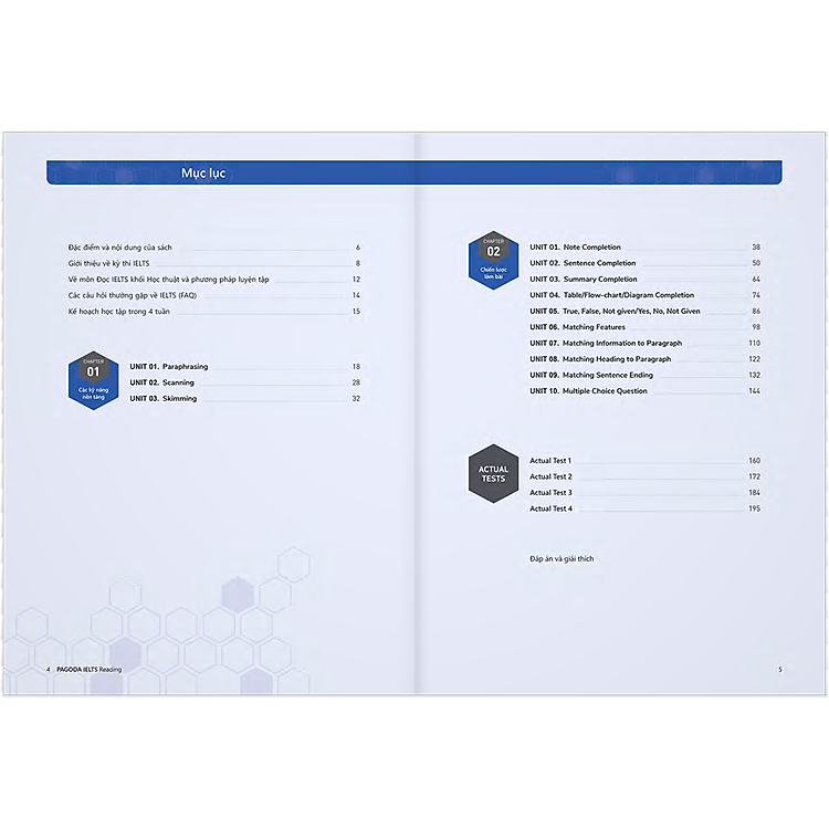 Pagoda IELTS Reading - Ảnh 3