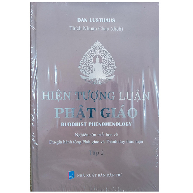 Hiện tượng luận Phật giáo - Ảnh 3