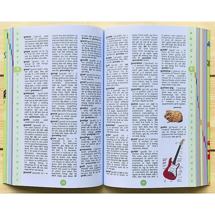 Từ Điển Anh Việt, Minh Họa Từ Vựng Bằng Hình Ảnh - Ảnh 3