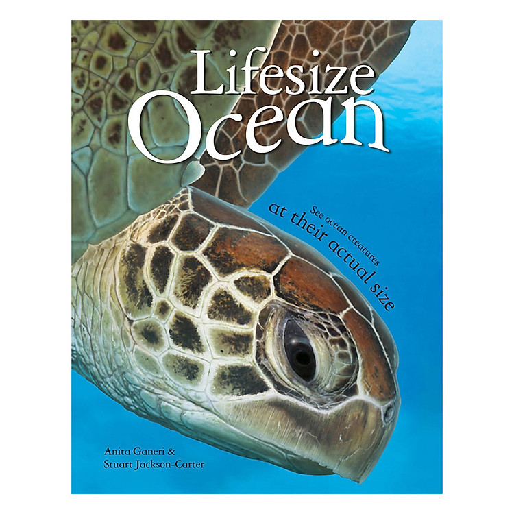 Sách Lifesize Ocean