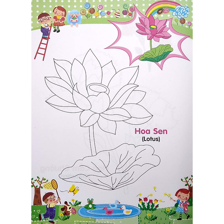Bé Tập Tô Màu Và Học Tiếng Anh Theo Chủ Đề - Các Loài Hoa - Ảnh 6