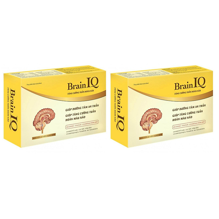 Combo 2 hộp Thực Phẩm Bảo Vệ Sức Khỏe Brain IQ - Tăng Cường Tuần Hoàn Não, Ngủ Ngon, Cải Thiện Trí Nhớ