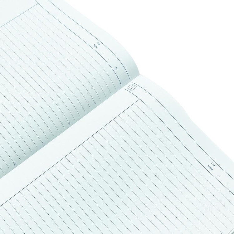 Bộ Tập Polar Bear B5 Kẻ Ngang (80 trang) - Ảnh 5