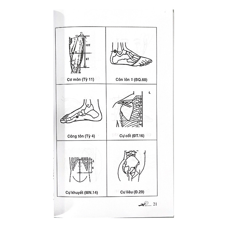 Sổ Tay Tìm Huyệt 2019 - Ảnh 7