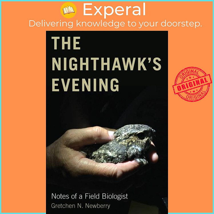 Sách - The Nighthawk's Evening - Notes of a Field Biologist by Gretchen N. Newberry (UK edition, paperback)