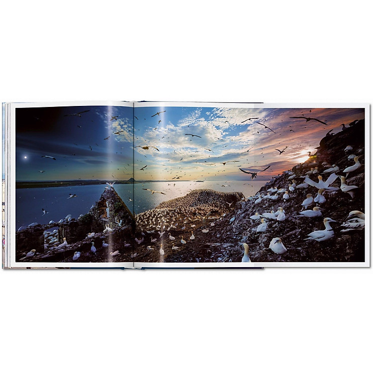 Artbook - Day to Night - Ảnh 5