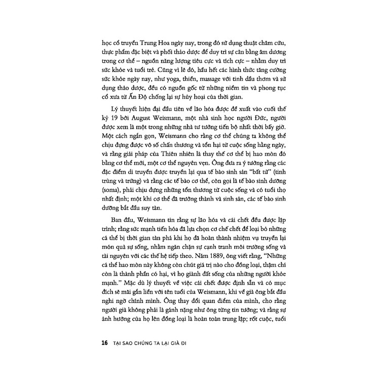 Tại Sao Chúng Ta Lại Già Đi? - Hiểu Đúng Về Lão Hóa - Ảnh 4