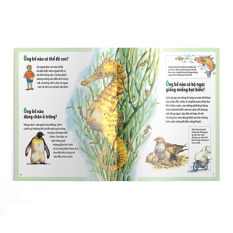 Em muốn biết vì sao kangaroo có túi và những câu hỏi khác về con non - Ảnh 3