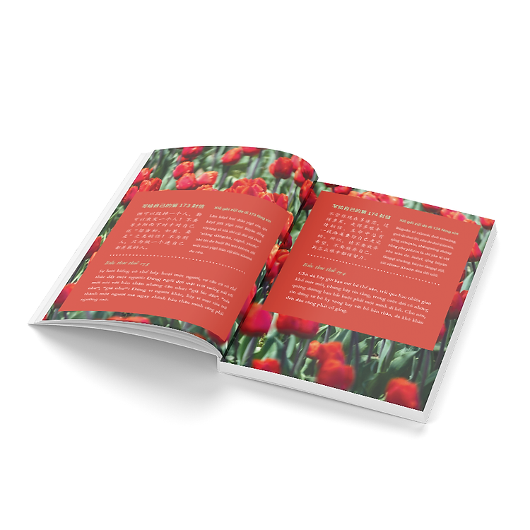 999 Lá Thư Gửi Cho Chính Mình – Những Lá Thư Ấn Tượng Nhất – Tập 2 (Phiên Bản Song Ngữ Trung-Việt)