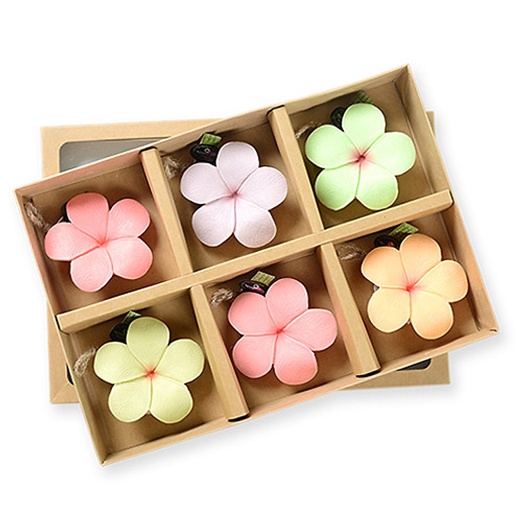 Hộp Quà 6 Xà Bông Thiên Nhiên Handmade eccomorning Hoa Sứ (Đặc Biệt) - Soap Gift Set 6pcs