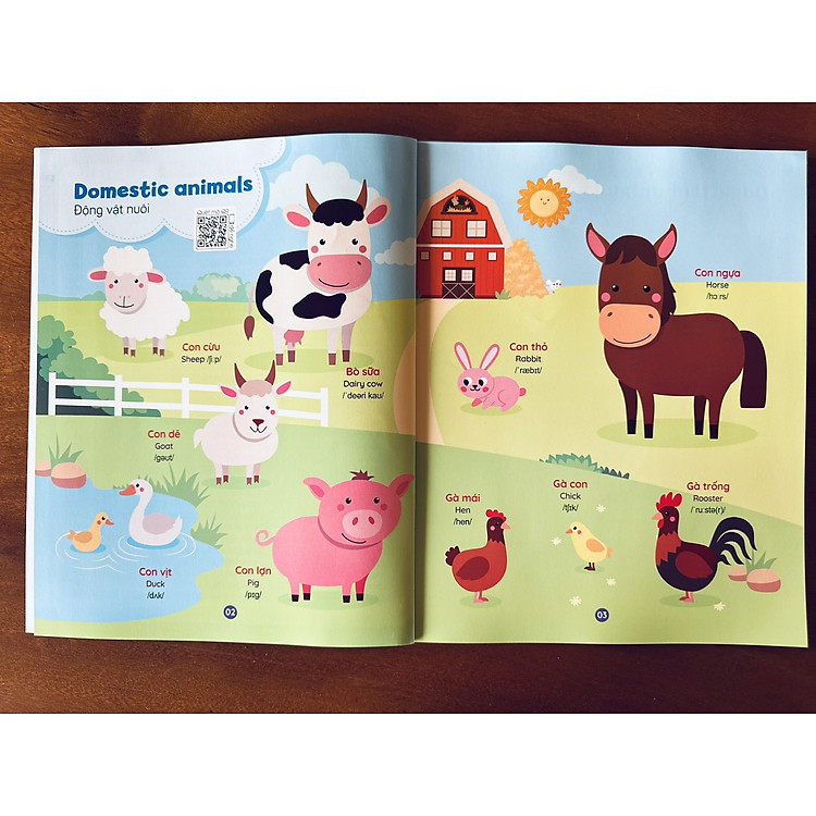 Cùng Con Học Mỗi Ngày: 900 Câu Giao Tiếp - Ảnh 2