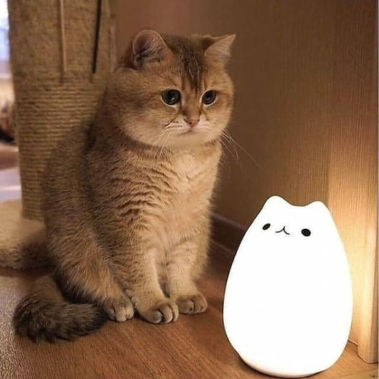 Đèn Ngủ Hình Mèo Con Dễ Thương Chính hãng Giá rẻ - Hình ảnh 4