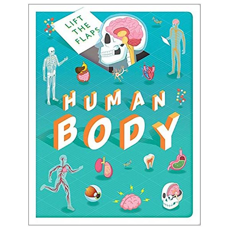 Lift The Flaps: Human Body
